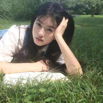 火之鸟772